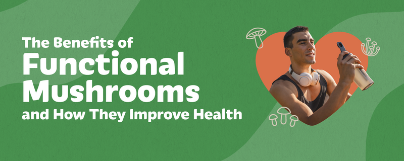 5 Key Functional Mushrooms and Essential Health Benefits