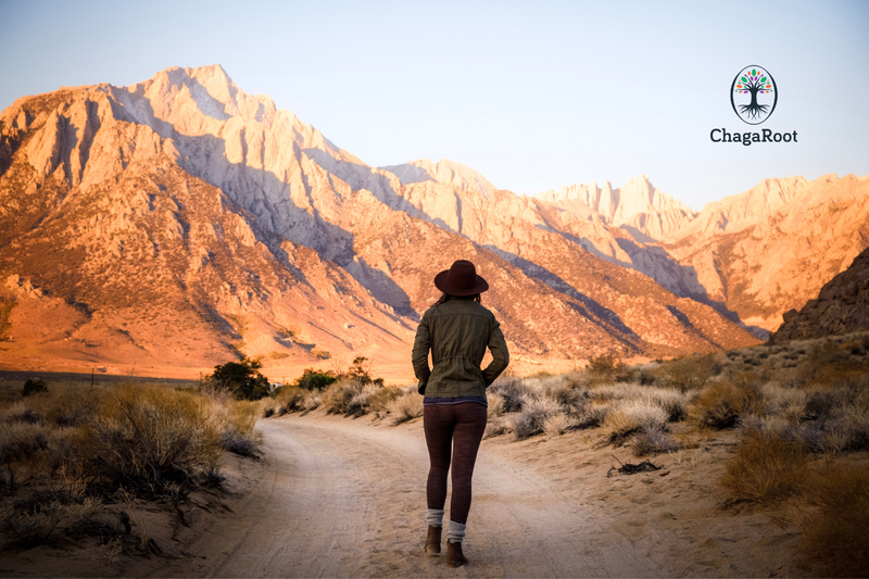 Walking: A Return to Your Body’s Natural Rhythm
